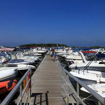 Yoko E Disma * 托雷拉皮罗