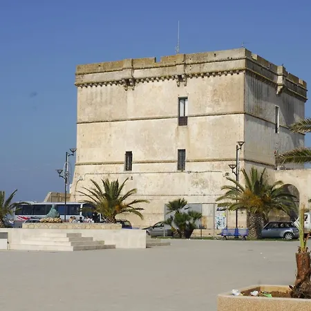 Yoko E Disma 托雷拉皮罗