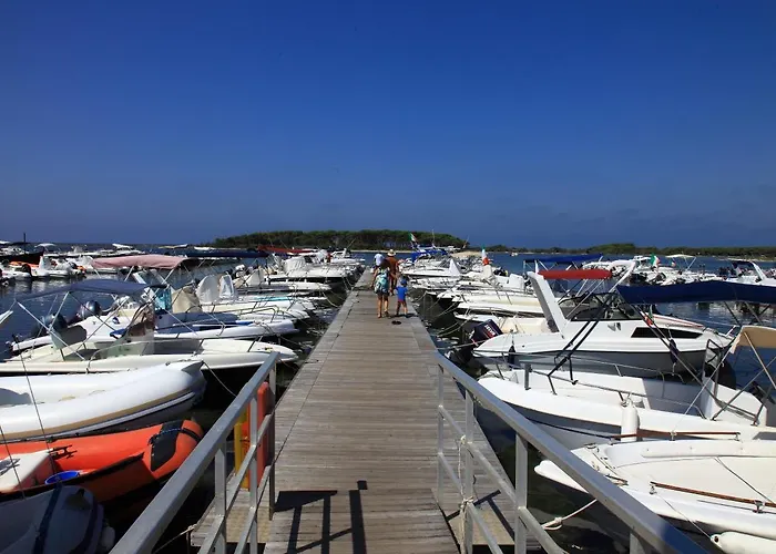 Yoko E Disma * טורה לפילו